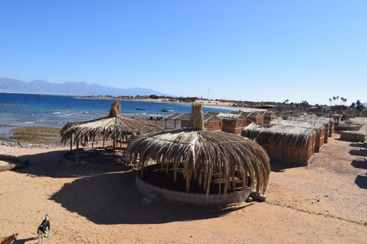 Hotel Sina Star Camp à Nuweiba` Extérieur photo